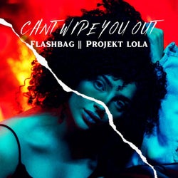 CANT WIPE YOU OUT (feat. Projekt Lola)