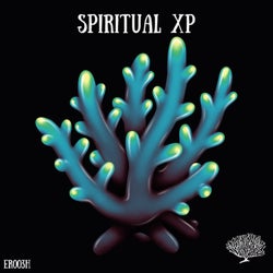 Spiritual XP