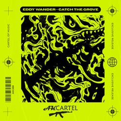 Catch the Groove