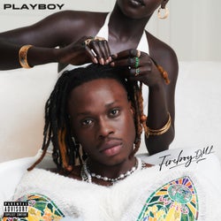 Hoesafbeelding voor Playboy