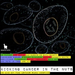 Kicking Cancer In The Nuts