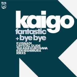 Fantastic + Bye Bye (The Remixes)