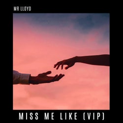 miss me like (VIP mix)