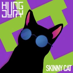 Skinny Cat