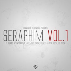 Seraphim Vol. 1