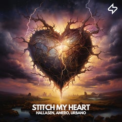 Stitch My Heart
