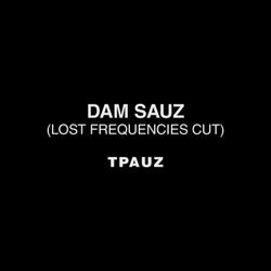 Dam Sauz - Lost Frequencies Cut