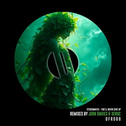 You never give up (Original mix)