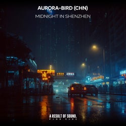 Midnight in Shenzhen