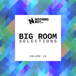 Nothing But... Big Room Selections, Vol. 15