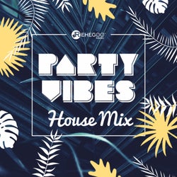 Party Vibes: House Mix