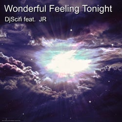 Wonderful Feeling Tonight (feat. Jr)