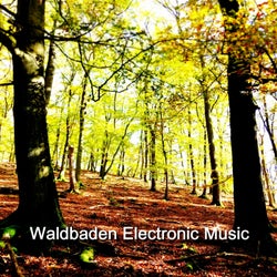 Waldbaden Electronic Music (Den Geist auf angenehme musikalische Weise waldig beschaftigen)
