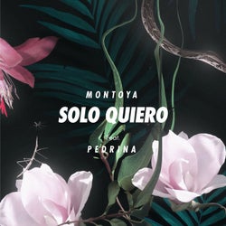 Solo Quiero (feat. Pedrina)