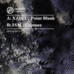 Point Blank / Capture