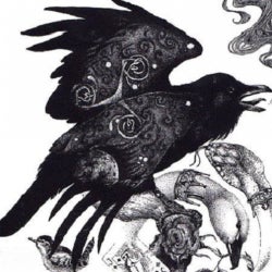 Totemism /// 00  : Raven