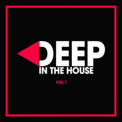 Deep in the House, Vol. 1