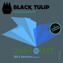 Jam On It 2012 Remixes Part 1