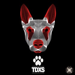 Tdxs Debut