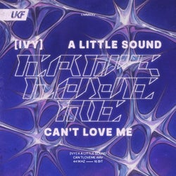 Can't Love Me