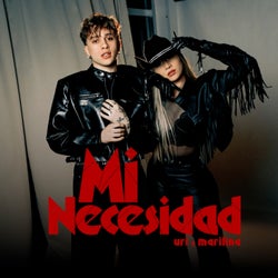 Mi Necesidad