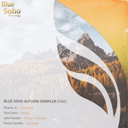 Blue Soho Autumn Sampler (One)