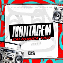 Montagem Calítonica Yist