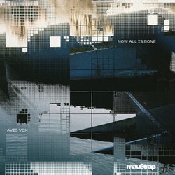 Cover art for Now All Is Gone (Extended Mix)