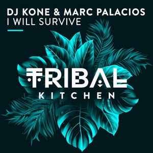 DJ Kone & Marc Palacios - I Will Survive (Original Mix).mp3