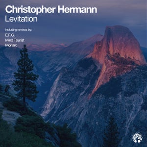 Christopher Hermann - Levitation [Electronic Tree]