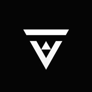 Vibes Records LLC