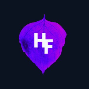 Hidden Forest Recordings