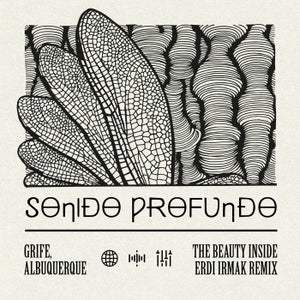 Albuquerque, GRIFE - The Beauty Inside (Erdi Irmak Remix)