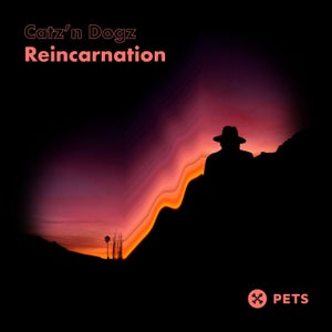 Catz 'N Dogz Tracks / Remixes Overview