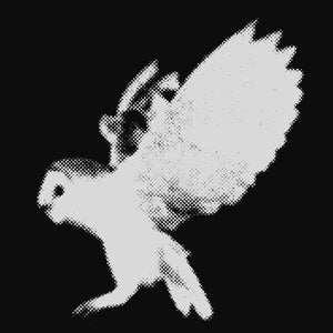 White Owl Records