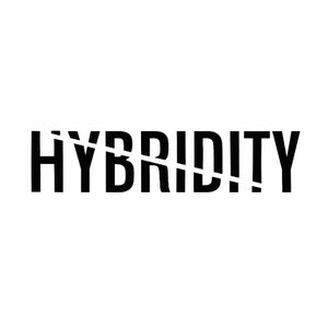 Hybridity Art
