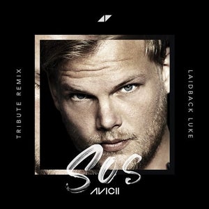 Foglia Di Bambu Remix.Avicii Tracks Remixes Overview