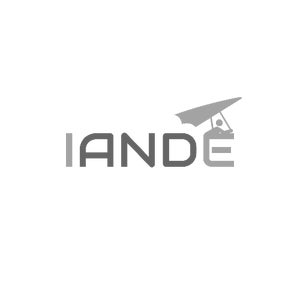 IandE Group