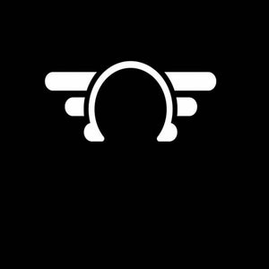 Stereofly Records
