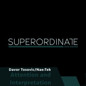 Davor Tosovic, Nae:Tek - Attention and Interpretation