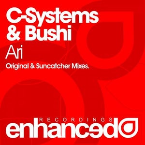 C-Systems & Bushi Ari (Suncatcher Remix) Artwork