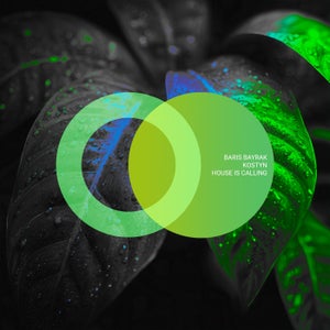 Baris Bayrak & Kostyn - House Is Calling