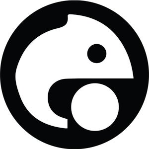 Chameleon Audio