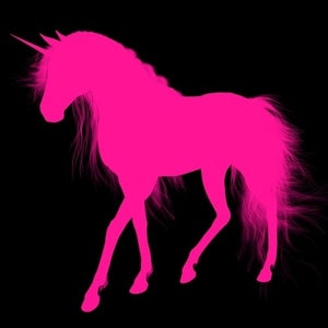 Pink Unicorn Records