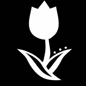Tulipe Records