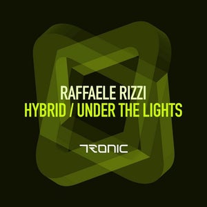 Raffaele Rizzi Hybrid Artwork