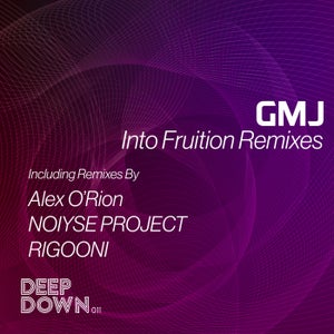 GMJ - Into Fruition (RIGOONI Remix)