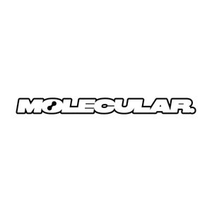 Molecular Sounds