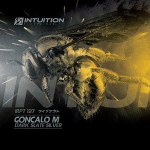 Goncalo M - Dark Slate Silver