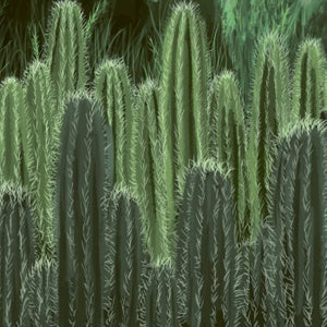 Tim Engelhardt - Polygon Particles